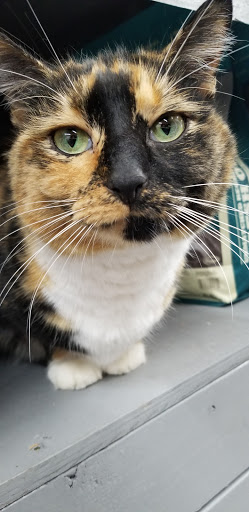 Pet Supply Store «Northside Grange», reviews and photos, 4116 Hamilton Ave, Cincinnati, OH 45223, USA