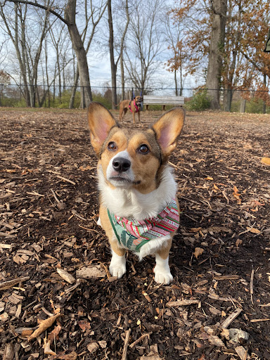 Park «Schappacher Park», reviews and photos, 4686 Old Irwin Simpson Rd, Mason, OH 45040, USA