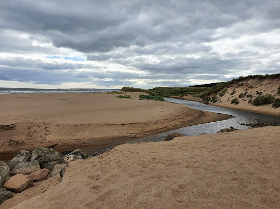 Blackdog Beach