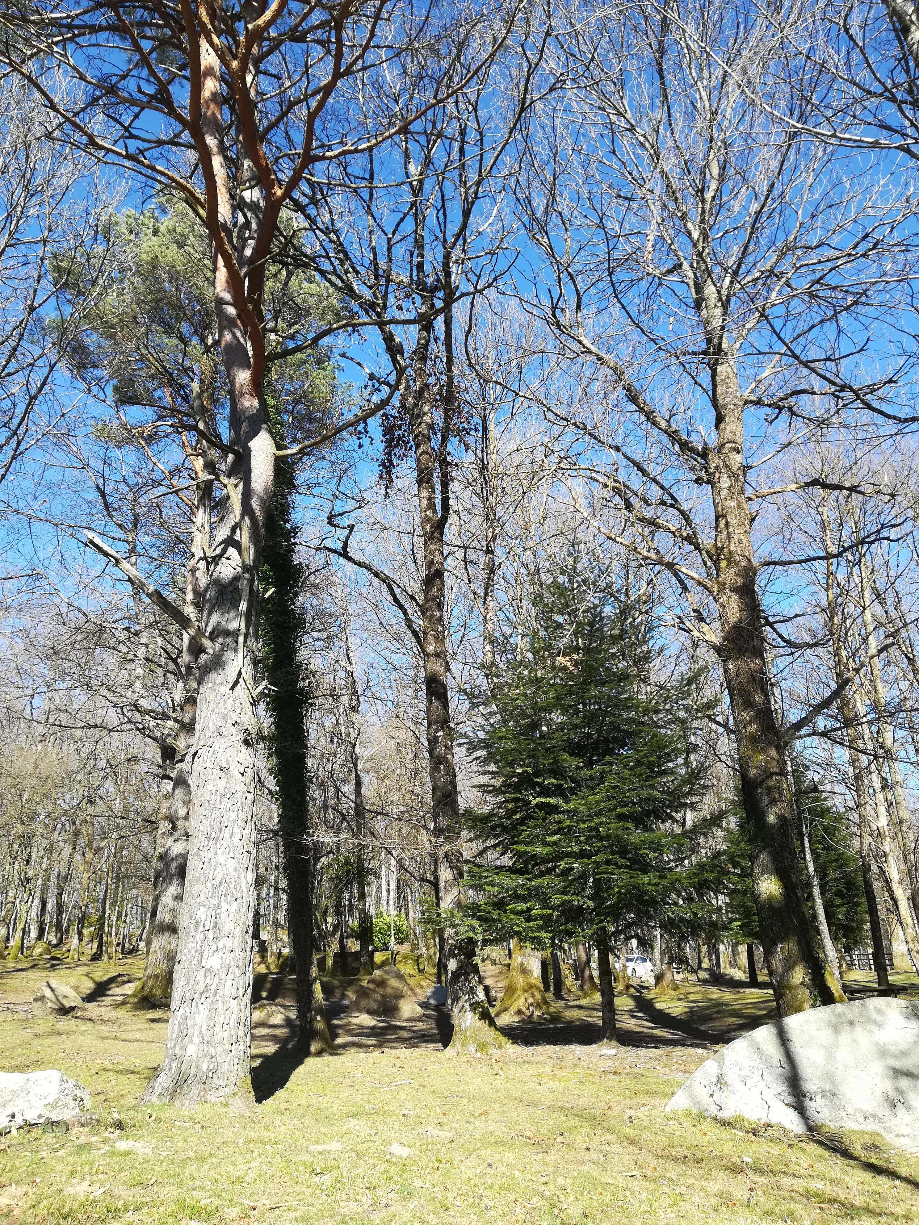 Photo n° 2 de l'avis de Abdelmalek. fait le 23/02/2019 à 07:50