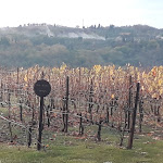 Photo n°5 de l'avis de Diego.e fait le 14/11/2021 à 15:25 sur le  Rinuccio Restaurant à Bargino