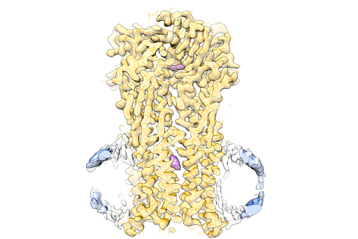 Salipro Biotech AB