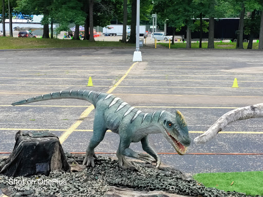 Live Music Venue «DTE Energy Music Theatre», reviews and photos, 7774 Sashabaw Rd, Village of Clarkston, MI 48348, USA