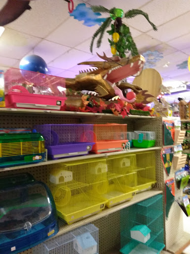 Pet Store «Forever Pets Inc», reviews and photos, 1030 Basse Rd, San Antonio, TX 78212, USA