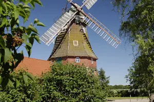 Windmühle Labbus image