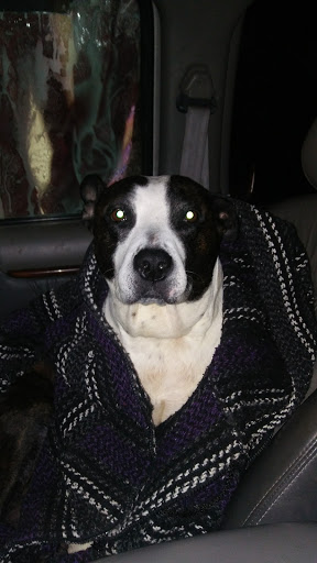 Car Wash «Carriage Auto Wash», reviews and photos, 4193 W 150th St, Cleveland, OH 44135, USA