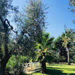 Photo n°10 de l'avis de Deborah.o fait le 01/03/2020 à 22:32 sur le  Hotel Palme Gemelle à Vieste