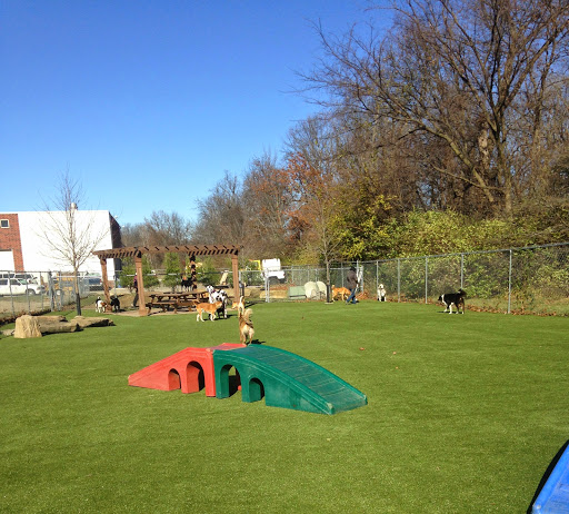 Pet Store «Happy, Clean and Smart», reviews and photos, 5700 W Kilgore Ave, Muncie, IN 47304, USA