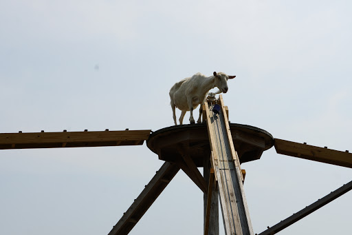 Park «Bloomsbury Farm», reviews and photos, 3260 69th St, Atkins, IA 52206, USA