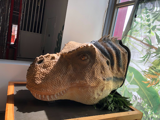 Amusement Park «The Adventure Park at the Discovery Museum», reviews and photos, 4450 Park Ave, Bridgeport, CT 06604, USA