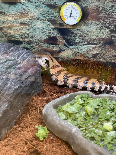 Pet Supply Store «Petco Animal Supplies», reviews and photos, 16417 Merchants Ln, King George, VA 22485, USA