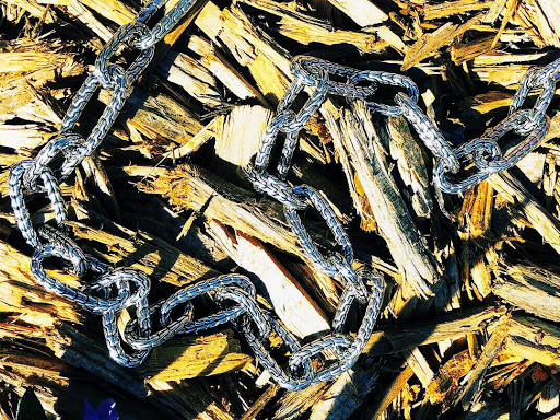 Jeweler «Ackerman Jewelers», reviews and photos, 5335 Ehrlich Rd, Tampa, FL 33625, USA