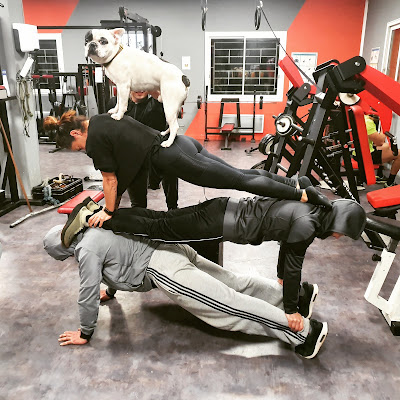 AB FIT à Furiani