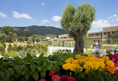 Φυτώριο Ελαιών Γη (Olive Land)