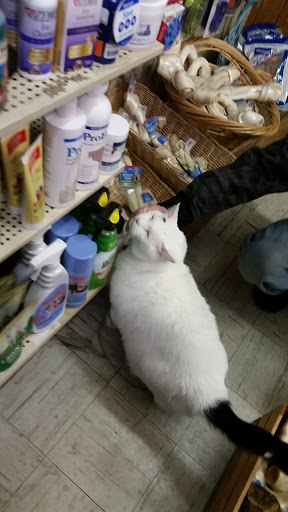 Pet Groomer «The Wagging Tail Pet Nutrition Center», reviews and photos, 337 U.S. 9, Cape May, NJ 08204, USA