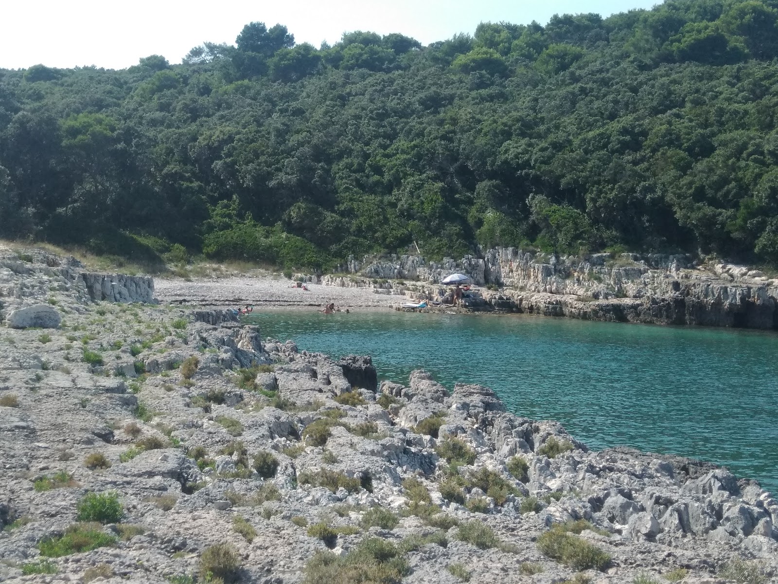 Zaglenicina beach'in fotoğrafı doğal alan içinde bulunmaktadır