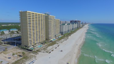 Photos of Twin Palms