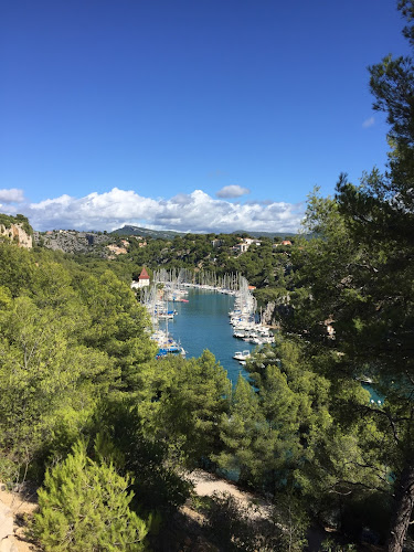 Agence d'assurance AXA Assurance et Banque Lecuyer A. Lecuyer C. Salon-de-Provence