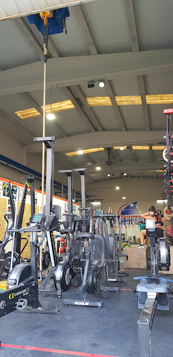 Tiburón CrossFit en Cambrils, Tarragona