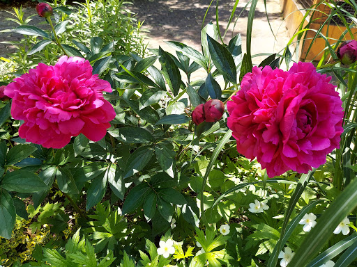 Zoo «Lupa Zoo», reviews and photos, 62 Nash Hill Rd, Ludlow, MA 01056, USA