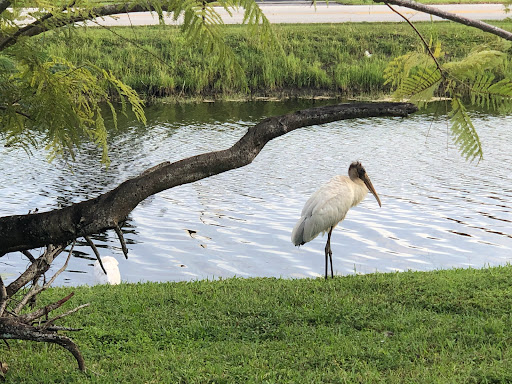 Golf Club «Grande Oaks Golf Club», reviews and photos, 3201 W Rolling Hills Cir, Davie, FL 33328, USA