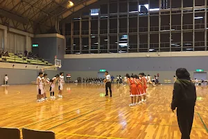 Toyonaka City Senri Gymnasium image