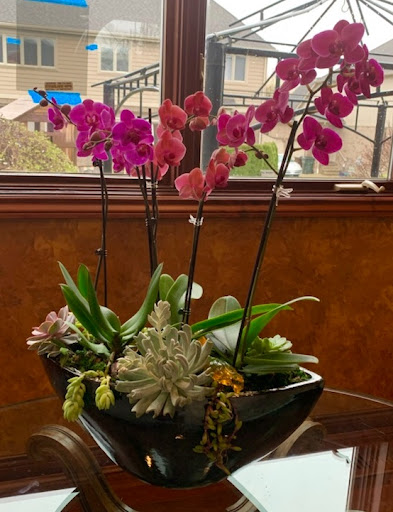 Plant Nursery «Goldner Walsh Garden and Home», reviews and photos, 559 Orchard Lake Rd, Pontiac, MI 48341, USA