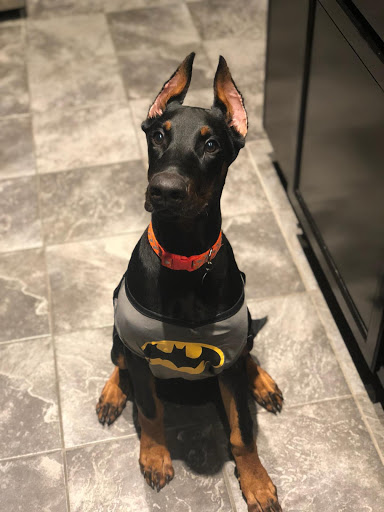 5537 W US Hwy 40, Greenfield, IN 46140, USA