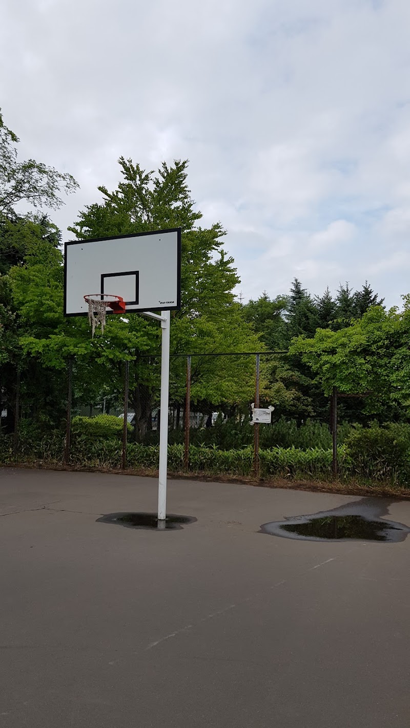 新光公園 北海道札幌市北区新琴似 公園 公園 グルコミ