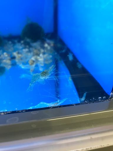 Pet Supply Store «Pet Supplies Plus», reviews and photos, 2912 Council Tree Ave #100, Fort Collins, CO 80525, USA