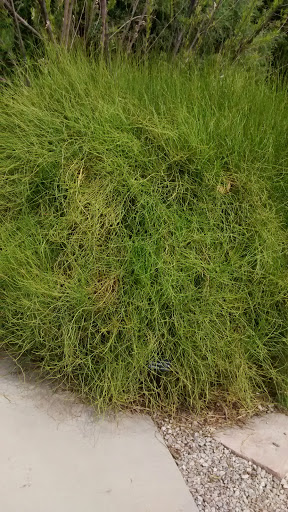 Botanical Garden «Conservation Garden Park», reviews and photos, 8275 1300 W, West Jordan, UT 84088, USA