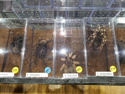 Event Venue «Rochester Main Street Armory», reviews and photos, 900 E Main St, Rochester, NY 14605, USA