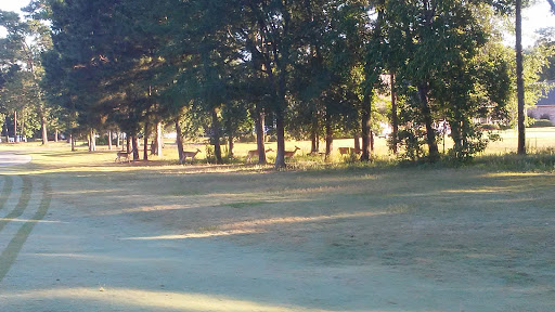 Golf Course «Lake Windcrest Golf Club», reviews and photos, 10941 Clubhouse Cir, Magnolia, TX 77354, USA