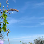 Photo n°1 de l'avis de andrea. fait le 23/04/2022 à 18:44 sur le  Farmhouse San Rocco à Villa Verucchio