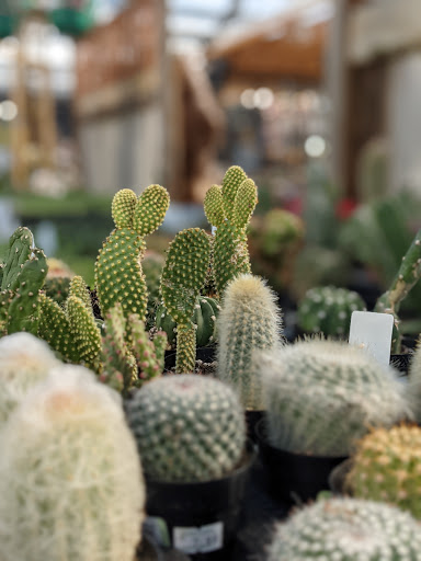 Greenhouse «Rose Floral & Greenhouse», reviews and photos, 14298 60th St N, Stillwater, MN 55082, USA