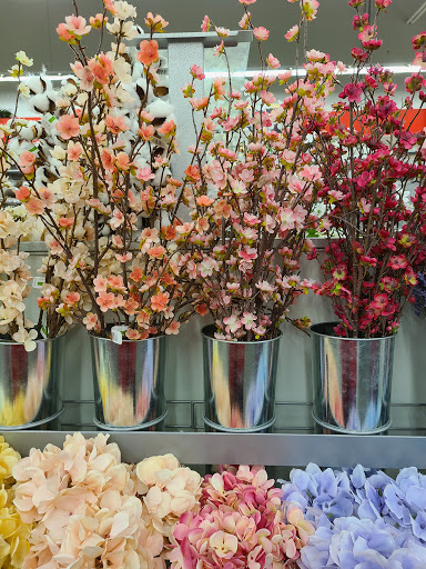 Craft Store «Michaels», reviews and photos, 2901 Rio Grande Blvd #700, Euless, TX 76039, USA