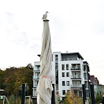 Photo n°10 de l'avis de Jens.o fait le 30/10/2022 à 13:14 sur le  Restaurant Piazza à Rostock