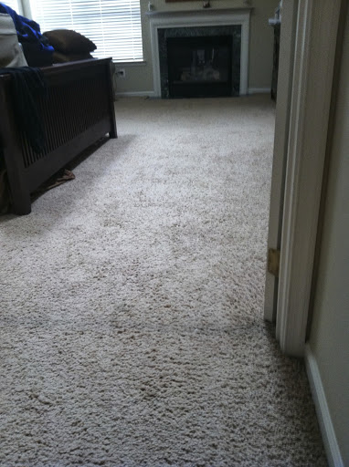 Carpet Cleaning Service «Organic Dry Carpet Cleaning», reviews and photos, 1418 E Washington St, Phoenix, AZ 85034, USA
