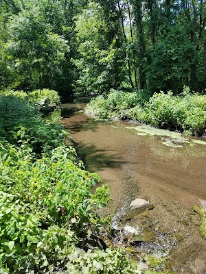 Thielke Arboretum - photo 83