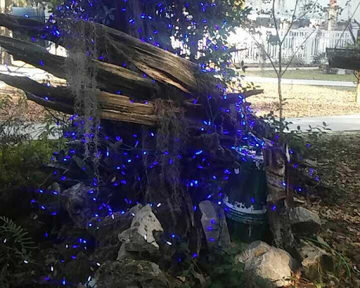 Festival «Spirit of the Suwannee Music Park», reviews and photos, 3076 95th Dr, Live Oak, FL 32060, USA