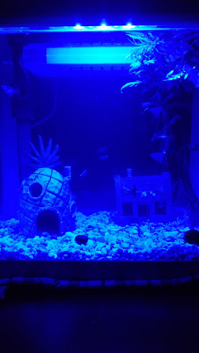 Pet Supply Store «Petco Animal Supplies», reviews and photos, 1090 Fort Union Blvd, Midvale, UT 84047, USA