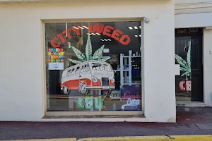 CITY WEED CBD, Cannes, le cannet, CBD & CONCEPT STORE image