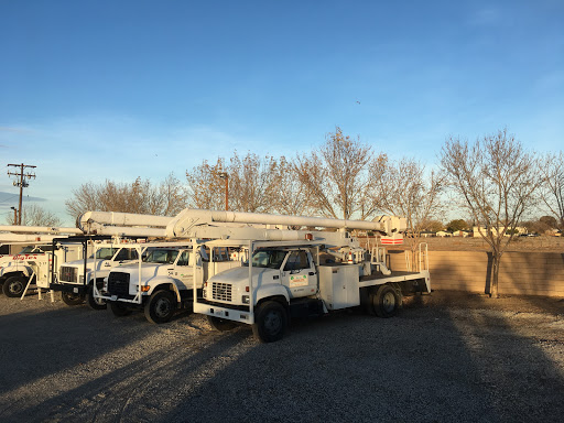 Tree service Lancaster