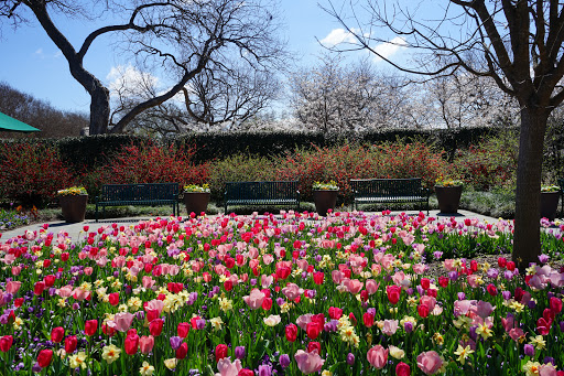 Arboreto y Jardín Botánico de Dallas