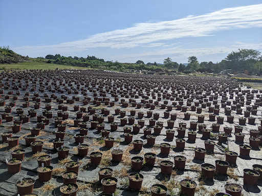 Garden Center «Quality Gardens», reviews and photos, 409 PA-228, Valencia, PA 16059, USA