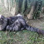 Photo n°1 de l'avis de betta.l fait le 11/07/2020 à 19:15 sur le  Agriturismo Colleverde à Terricciola