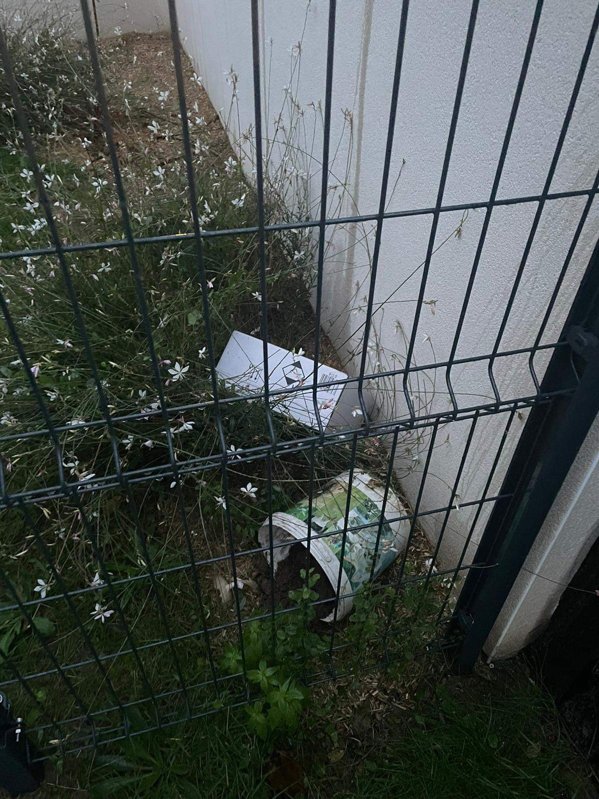 Photo n° 1 de l'avis de Eve.e fait le 12/11/2023 à 06:55