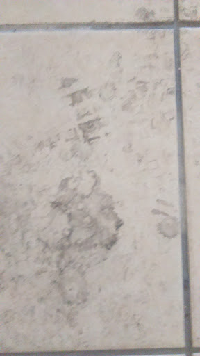 Bicycle Store «The Bike Station Store», reviews and photos, 8387 Alameda Ave e, El Paso, TX 79907, USA