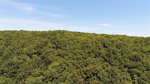 Photo n°17 de Chalet de la chasse à Trept ()