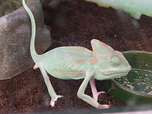 Pet Supply Store «Petco Animal Supplies», reviews and photos, 10 Sylvan St, Peabody, MA 01960, USA